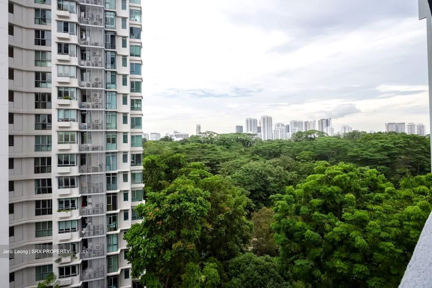 Village Tower (D10), Condominium #572135771